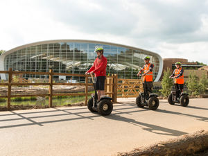 Supporting image for story: Center Parcs U-turns on decision to kick guests out on day of Queen's funeral