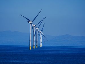 Supporting image for story: Tories pledge to scrap landmark climate legislation in favour of ‘cheap’ energy