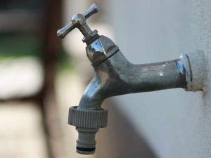 Supporting image for story: Allotments’ water supply switched off amid climate crisis fears