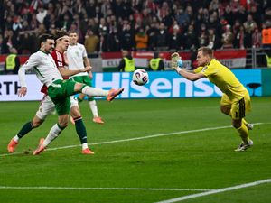 Supporting image for story: Ireland’s Troy Parrott: I don’t think I’ll ever have a better night in my life