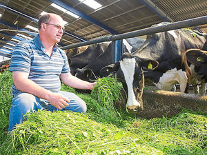 Rod MacBean: big animals are a risk

