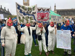 Save The Wye campaigners dressed as chickens at Parliament Square