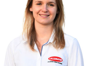 Supporting image for story: Probiotic live yeast can help reduce fattening time for pigs, says Lallemand expert