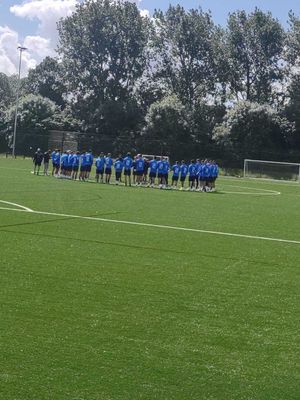 Italy at The Dell Stadium: Picture, Dudley Council