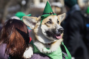 St Patrick's Day 2019