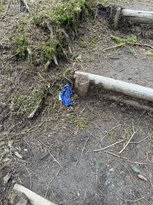 Dog poo bags discarded at Hafren Forest.
