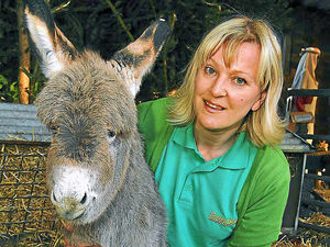 Supporting image for story: It's the aah-boretum donkey