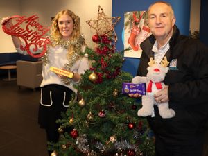 Supporting image for story: Shrewsbury Christmas shop window competition launched