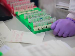 Supporting image for story: Andy Richardson: Tracing a familiar route