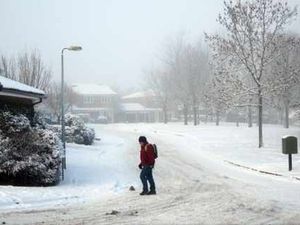 Supporting image for story: Letter: Council empties bins but not the recycling. Why?