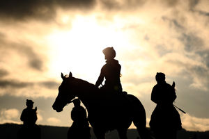 Horses on the gallops before heading into the racecourse. (Photo by Dan Istitene/Getty Images)