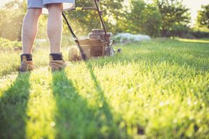 Lawn woes - New research from Pelsis Doff reveals West Midlands' biggest lawn care struggles