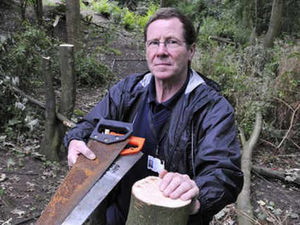 Supporting image for story: Handsaws found in woodland