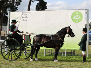 Supporting image for story: Equine judges announced for the 2025 Royal Welsh Show