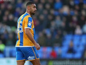 Supporting image for story: Shrewsbury Town loanee Stefan Payne has a point to prove