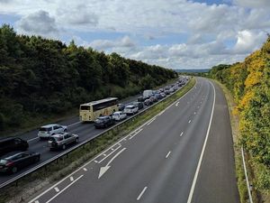 Supporting image for story