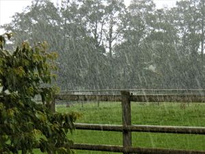 Supporting image for story: Possible thunderstorms predicted for the region today 