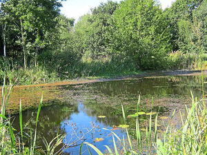 Supporting image for story: £2.5 million windfall brings Shropshire canal dream a step nearer