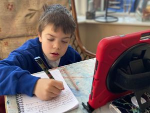 Supporting image for story: Sound advice for those home schooling 