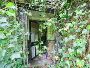 Supporting image for story: Inside the derelict hidden house so overgrown it can't be seen from passing road