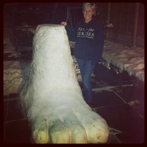 A foot of snow in Telford. Image sent in by Claire Croston