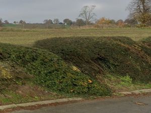 Supporting image for story: Developers lodge new, revised plan for 38 homes in Shrewsbury