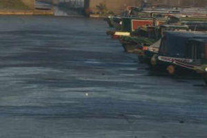 Supporting image for story: Dog owner saved after frozen canal rescue fails