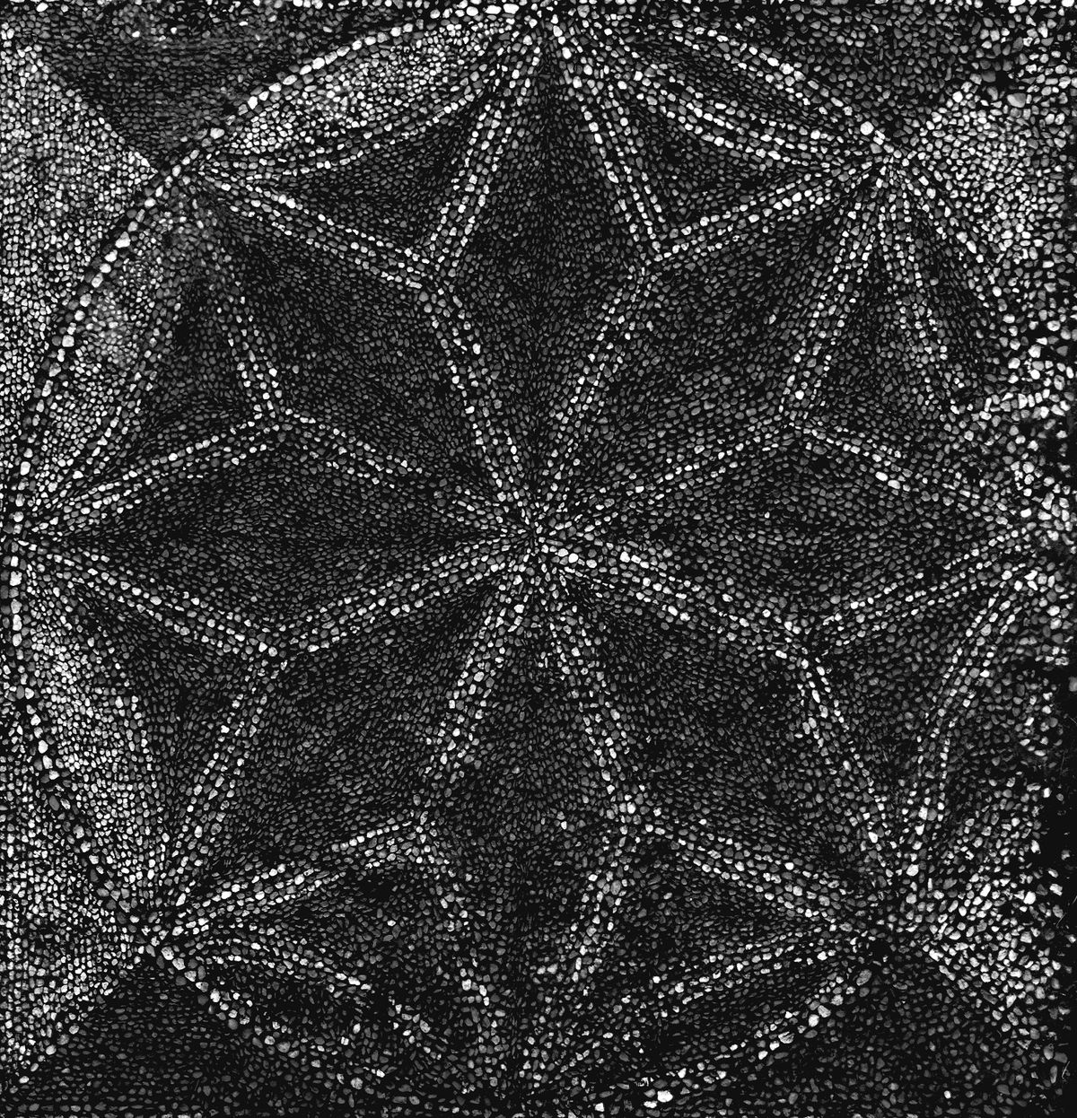 Historic Shropshire manor seeks national recognition for historic dance Historic Shropshire manor seeks national recognition for historic dance