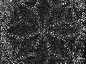 Supporting image for story: Historic Shropshire manor seeks national recognition for historic dance