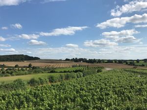 Supporting image for story: Winery expands service with bank support