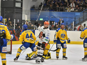 Supporting image for story: Telford Tigers bring fans Christmas cheer