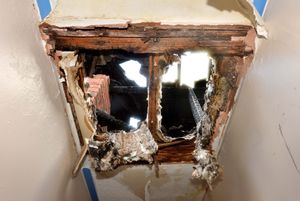 Fire investigators are now looking into the cause of the blaze