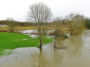 Supporting image for story: Fodder bank helps feed farm livestock