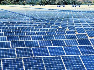 Supporting image for story: 300-acre solar farm on Shropshire farmland approved by councillors 