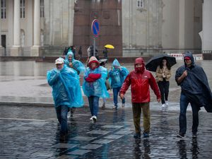 Supporting image for story: Woman killed by falling tree as Lithuania and Latvia hit by powerful storm