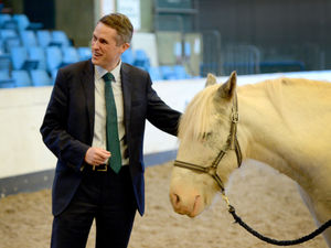 Supporting image for story: No deal Brexit? No fear, says Gavin Williamson