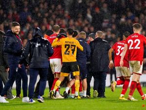 Supporting image for story: Wolves are fined £45k and Nottingham Forest £40k by the FA