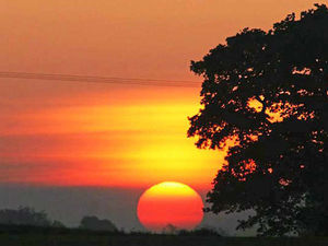 Supporting image for story: Glorious start to Shropshire's summer but rain is forecast