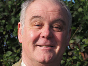 Supporting image for story: Using contracts to ease those grain groans