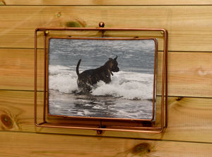 David and Jules' dog Storm