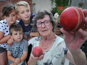 Supporting image for story: 'My house is used like a coconut shy'