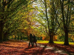 Supporting image for story: £100k investment will improve footpaths and bridleways in Telford and Wrekin