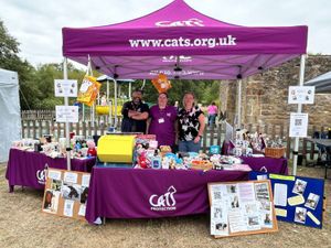 Supporting image for story: New home found for Wellington charity shop after market regeneration raised closure fears