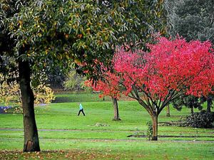 Supporting image for story: Park will welcome open-air concerts in bid to boost visitor numbers