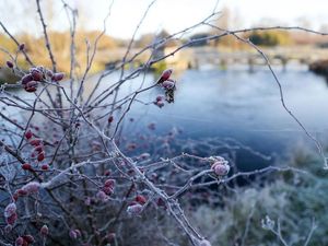 Supporting image for story: Warning issued for ice in Shropshire 