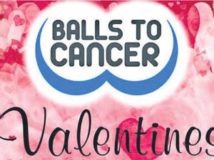 Supporting image for story: Charity ball for all of the family in Brierley Hill tonight