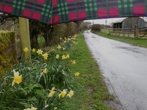 Supporting image for story: People seeking long hot days in the UK at Easter should look away now... here's the key forecast info