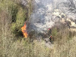Supporting image for story: Fire crews battle blaze at Black Country nature reserve