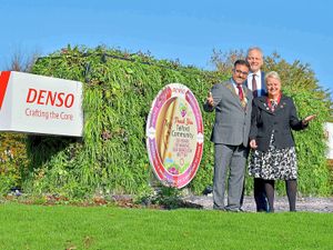 Supporting image for story: 'Living wall' gift at roundabout for Telford's 50th birthday 