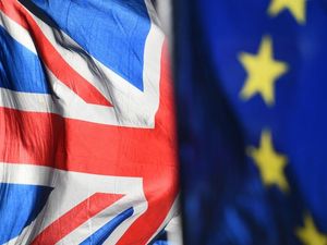 Supporting image for story: What we learned from the indicative votes